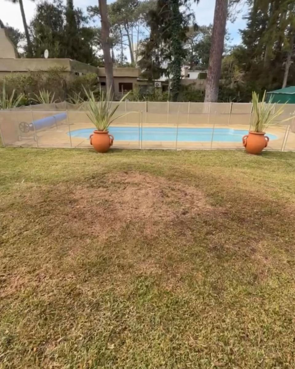 Césped parejo frente a una piscina con cerco después de fresar el tocón