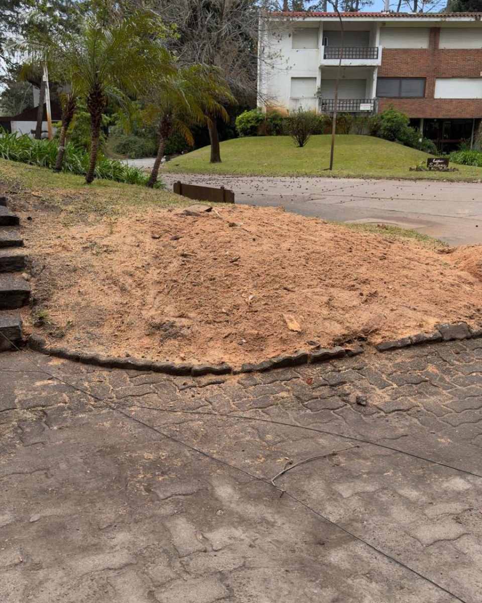 Cantero con la viruta del tocón fresado esparcida y el camino de adoquines intacto alrededor