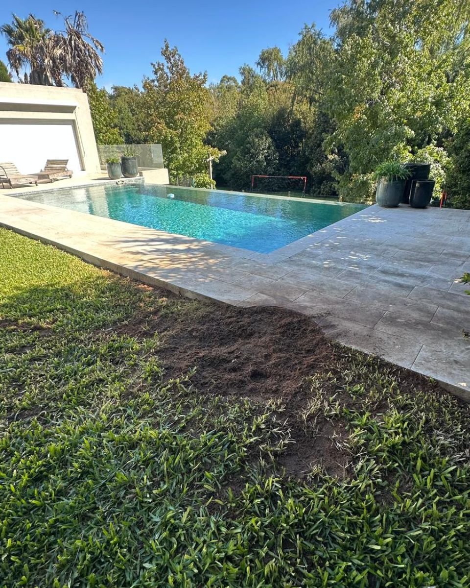 Césped junto al solárium de una piscina con la tierra del tocón ya fresado y nivelado