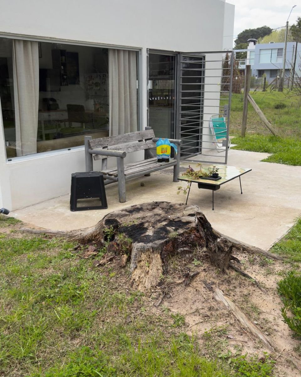 Tocón con raíces en el pasto al borde de una terraza de hormigón de una casa, antes del destoconado